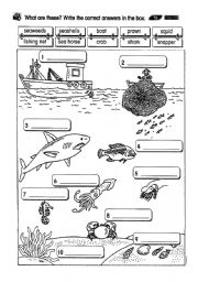 English Worksheet: sea creatures 2