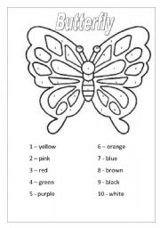 English Worksheet: Butterfly