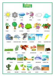 English Worksheet: Nature