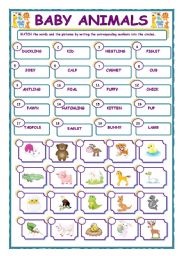 English Worksheet: BABY ANIMALS