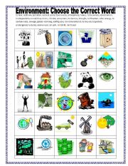 English Worksheet: Environment Matching