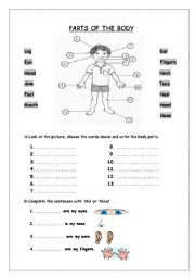 English Worksheet: Parts of the Body