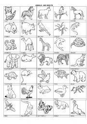 English Worksheet: Animals and insects