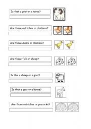 English Worksheet: Question