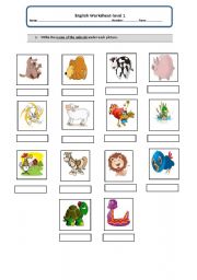 English Worksheet: names of animals