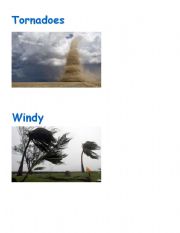 English worksheet: Weather Types