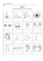 vocabulary revision of body parts 