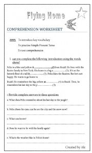 English Worksheet: Flying home 