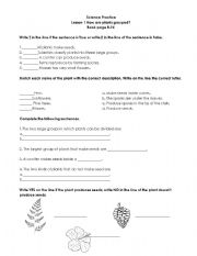 English Worksheet: Parts of the flower and Plants classification