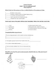 English worksheet: Parts of the flower and Plants classification