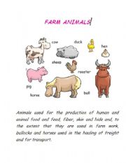 farm animals