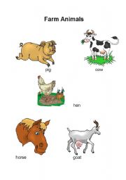 English worksheet: farm animals