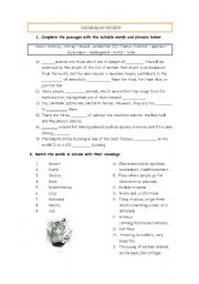 English Worksheet: vocabulary review 1: animals, buildings, materials...