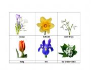 English Worksheet: flowers 4 spring