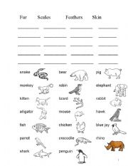 English Worksheet: Animals body covering