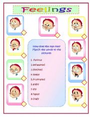 English Worksheet: Feelings and Emotions