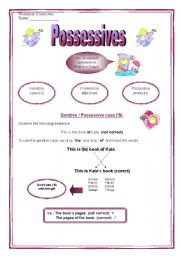 English Worksheet: possessives