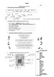 English Worksheet: THE POSSESIVE AND GENITIVE CASE- THE SIMPSONS