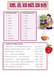 English Worksheet: SOME, ANY HOW MUCH,HOW MANY