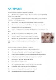 CAT IDIOMS Conversational Activity