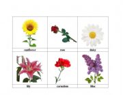 English worksheet: flowers 5