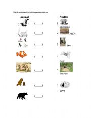 English Worksheet: animal shelters K7