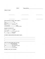 English Worksheet: test kids