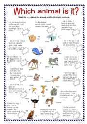 English Worksheet: ANIMALS