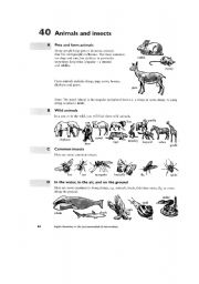 English Worksheet: animals
