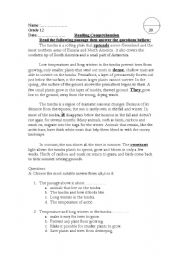 English Worksheet: reading comprehension