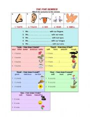 English Worksheet: 5 SENSES