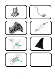 English worksheet: animals vocabulary