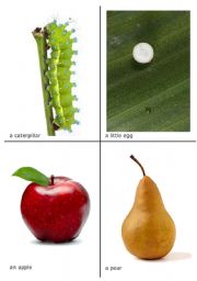 English Worksheet: The very hungry caterpillar flash-cards 1 of 2