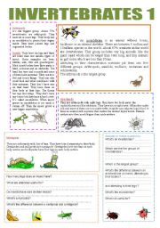 English Worksheet: INVERTEBRATES 1