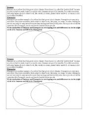 English worksheet: comparative study