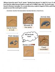 English Worksheet: Steps to Form a Fossil