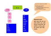 English worksheet: reles of reading letter C