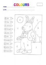 English Worksheet: A NICE RABBIT