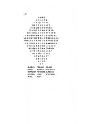 English Worksheet: crossword
