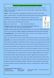 English Worksheet: DESCRIBING PEOPLE - word bank 