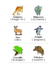 English Worksheet: Anamals