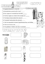 English Worksheet: Quiz mummification and cats