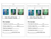 English worksheet: coral