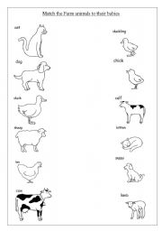 MATCHING BAY ANIMAL TO MOTHER ANIMAL - ESL worksheet by Simsid