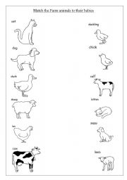 English Worksheet: MATCHING BAY ANIMAL TO MOTHER ANIMAL