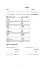 English worksheet: genders