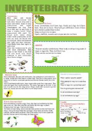 English Worksheet: INVERTEBRATES 2