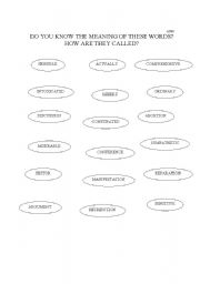 English Worksheet: false friends