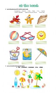 English Worksheet: at the beach