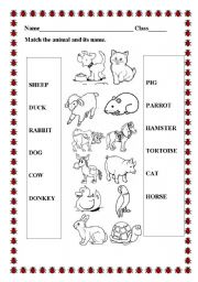 English Worksheet: Match animals